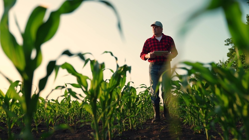 Agriculture field with man