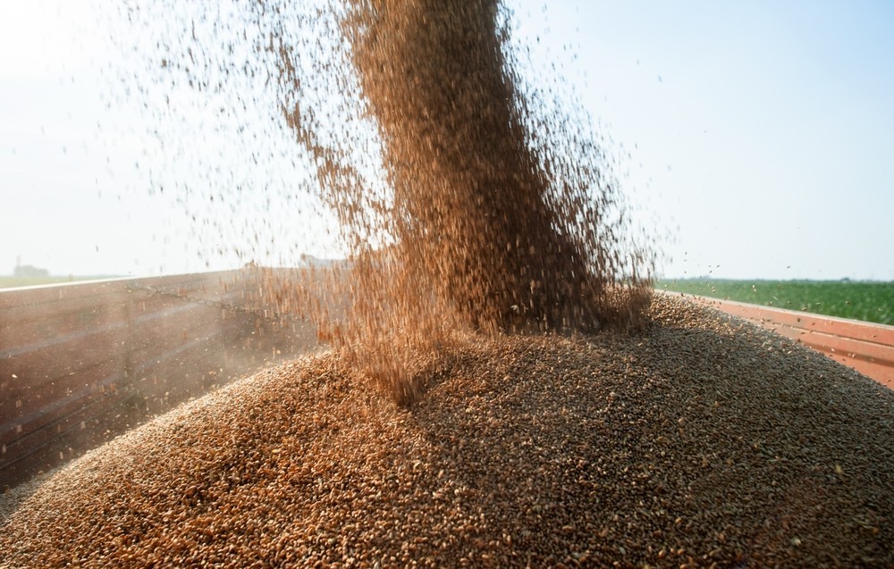 Combine Harvester grains