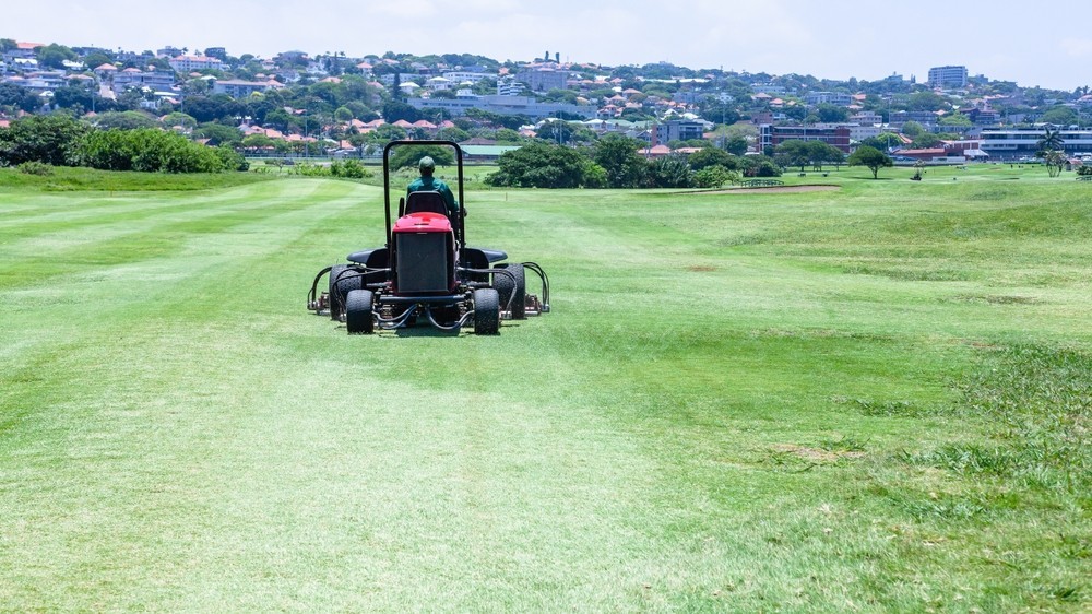 fairway mower on a golf course in the summer