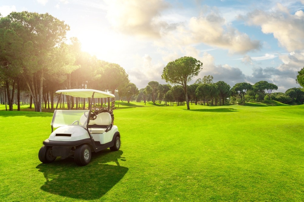 golf buggy in the middle of a fairway