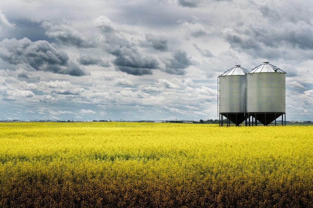 Grain silo in a field