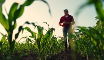 Agriculture field with man