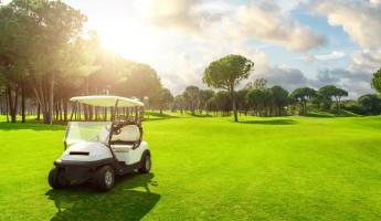 golf buggy in the middle of a fairway