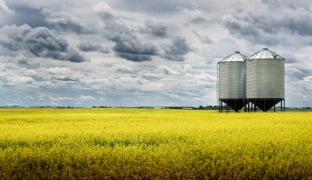 Grain silo in a field
