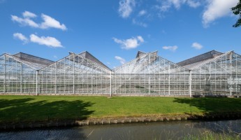 commercial greenhouses 