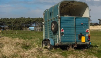 Horsebox