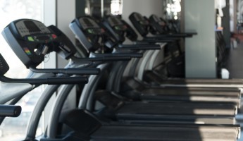 A row of treadmills in a gym