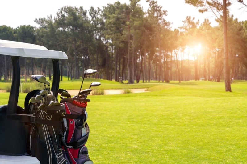 close up of a golf buggy
