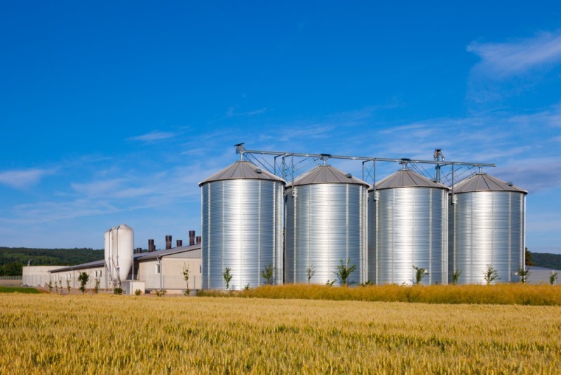 Multiple grain silos 