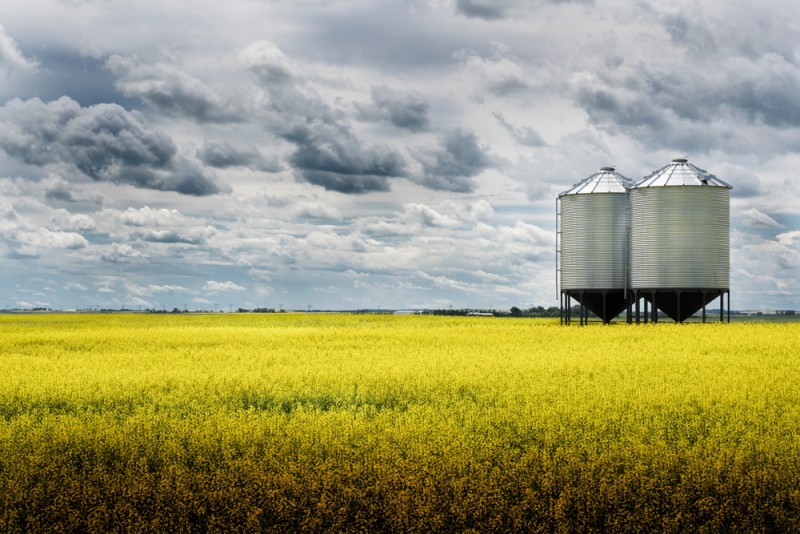 Grain silo in a field