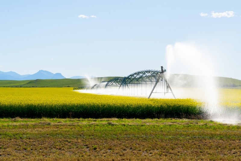 Irrigation system in a field