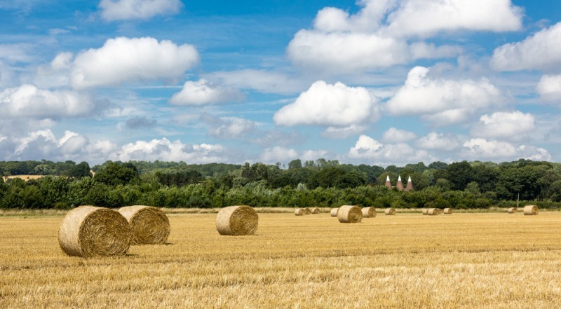 A field with hay bales across it